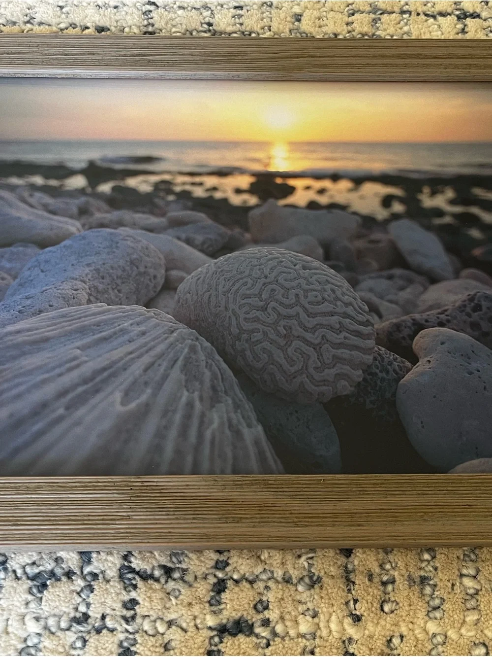 Sunset Beach Shells Wall Art Print in Brown Wood Frame